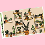 House Plant Kit in Standard Vertical Sizing