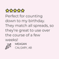 Birthday Countdown Planner Stickers