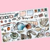 Seashells Kit in Standard Vertical Sizing