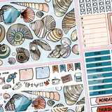 Seashells Kit in Standard Vertical Sizing