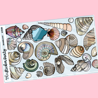 Seashells Kit in Standard Vertical Sizing