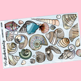Seashells Kit in Standard Vertical Sizing