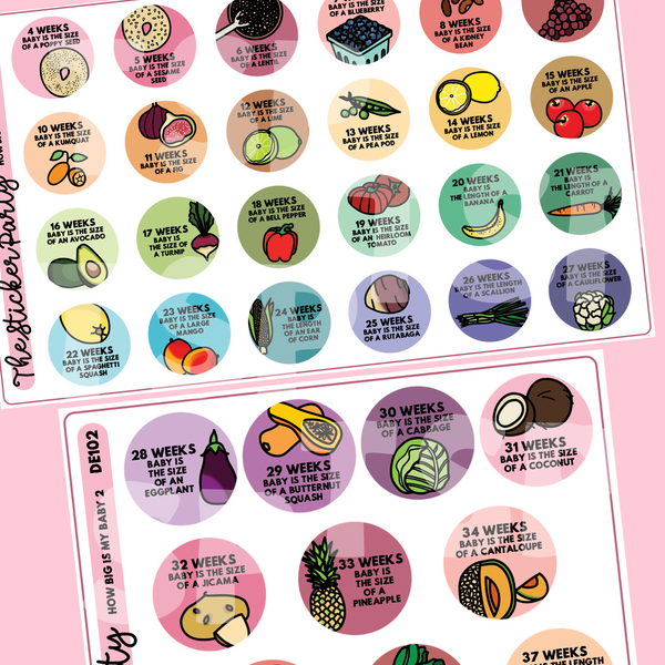 Pregnancy Planner Stickers "How Big Is My Baby?" Planner Stickers