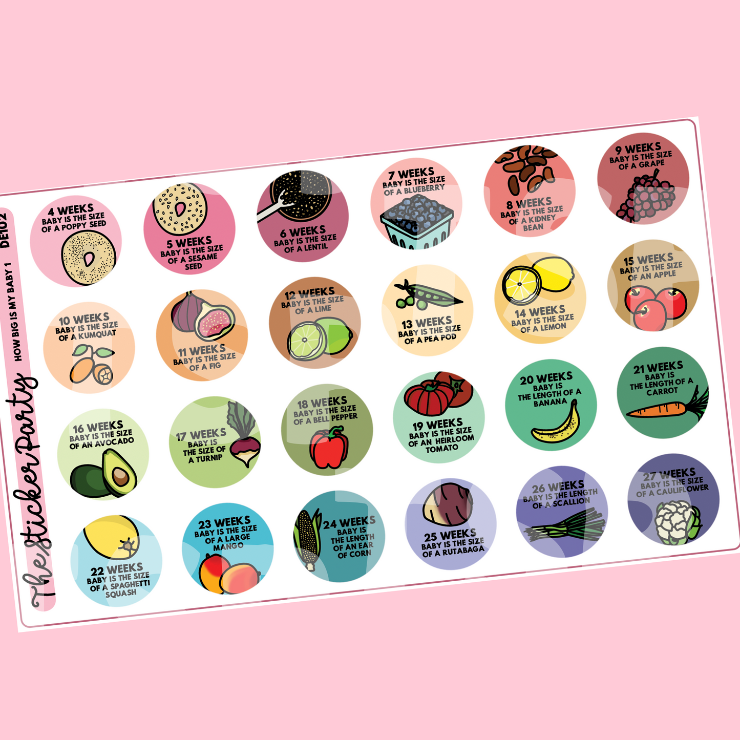 Pregnancy Planner Stickers "How Big Is My Baby?" Planner Stickers