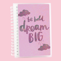 Amy Tangerine Collab "Dream Big" Album or Reusable Sticker Book